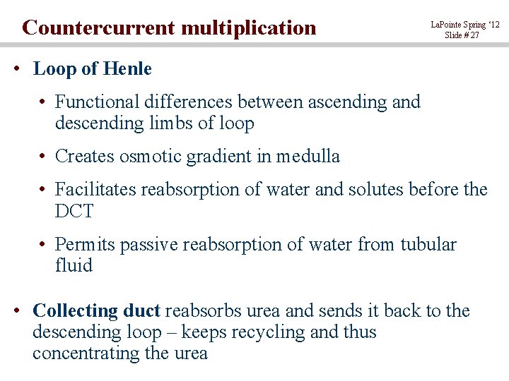 Countercurrent multiplication La. Pointe Spring ‘ 12 Slide # 27 • Loop of Henle