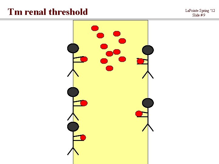 Tm renal threshold La. Pointe Spring ‘ 12 Slide # 9 