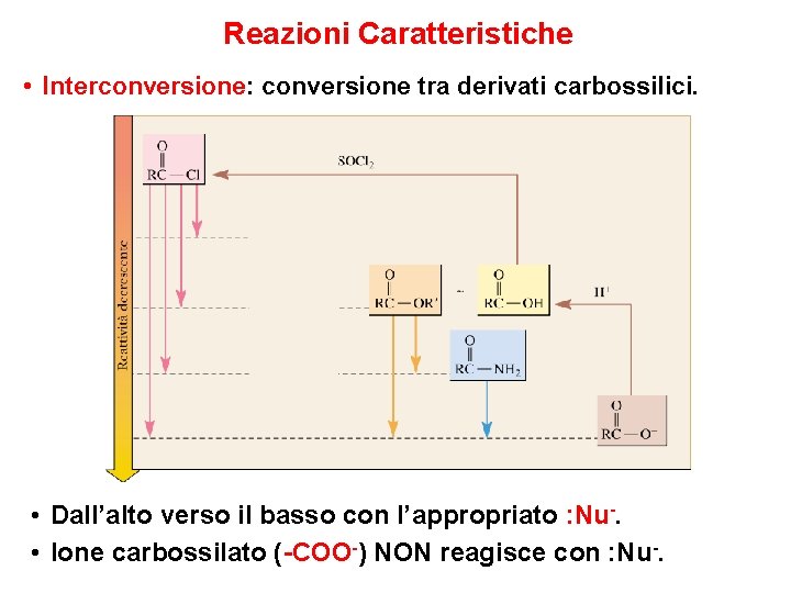 Reazioni Caratteristiche • Interconversione: conversione tra derivati carbossilici. • Dall’alto verso il basso con