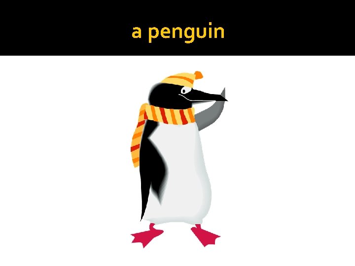 a penguin 