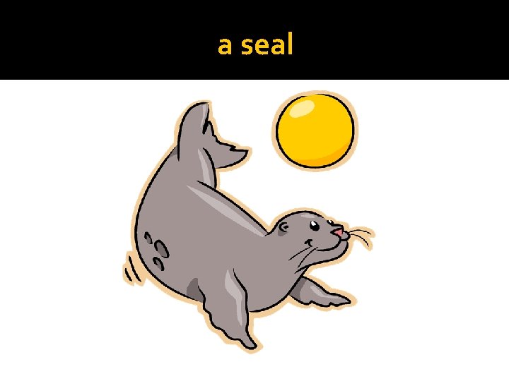 a seal 