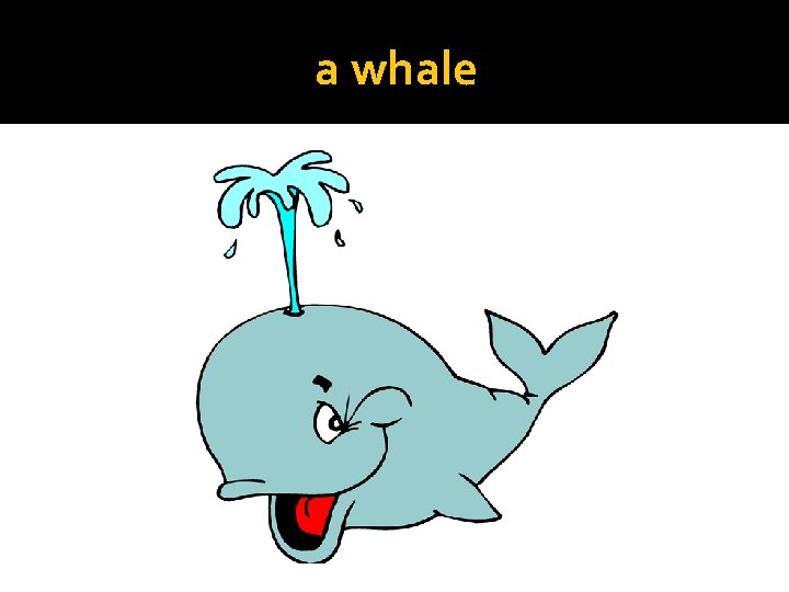 a whale 