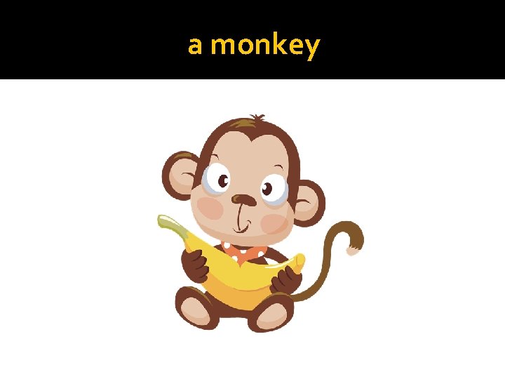 a monkey 