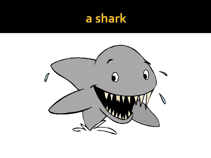 a shark 