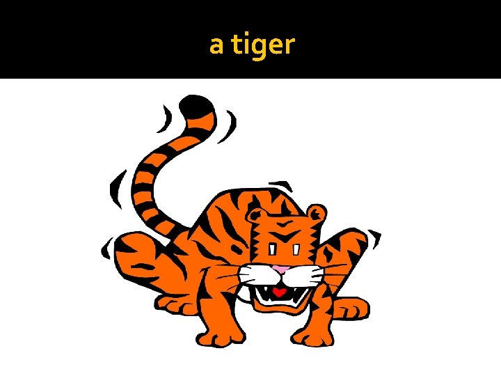 a tiger 