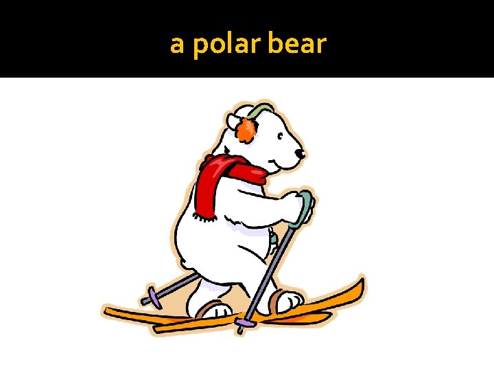 a polar bear 