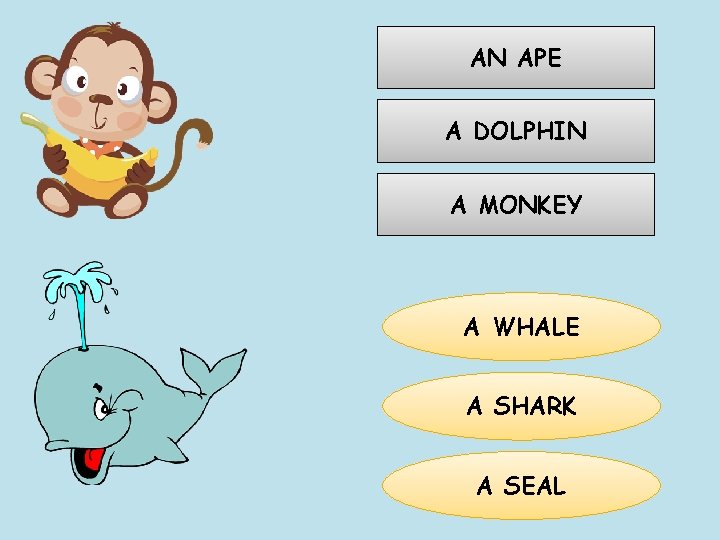 AN APE A DOLPHIN A MONKEY A WHALE A SHARK A SEAL 