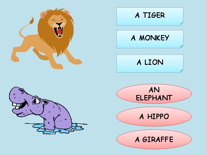 A TIGER A MONKEY A LION AN ELEPHANT A HIPPO A GIRAFFE 