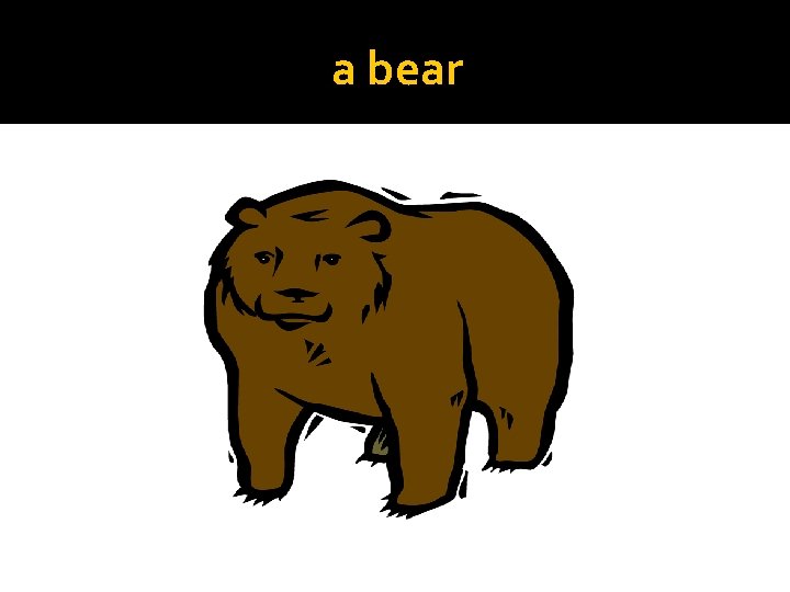 a bear 