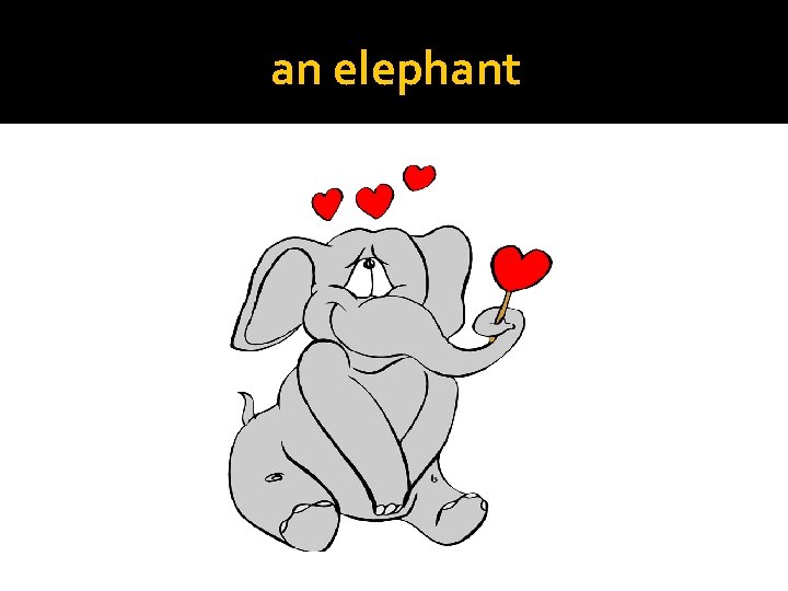 an elephant 