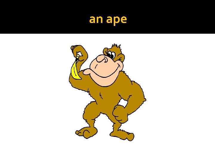 an ape 