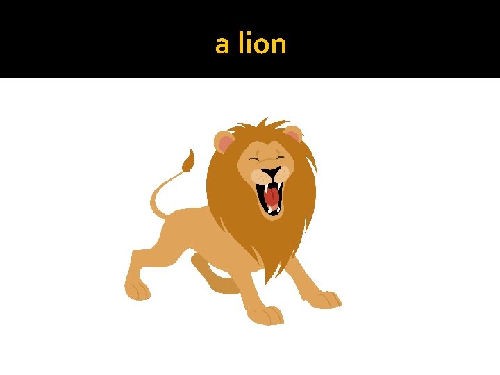 a lion 