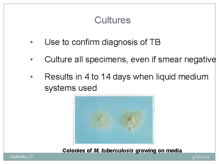 Cultures • Use to confirm diagnosis of TB • Culture all specimens, even if