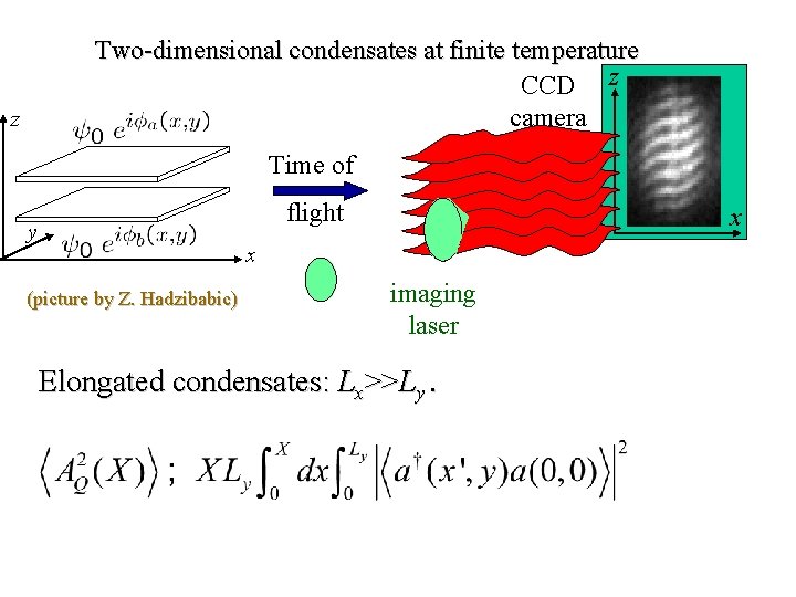 Two-dimensional condensates at finite temperature CCD z camera z Time of flight y x