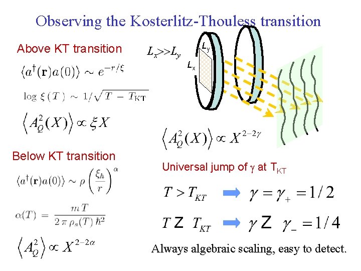Observing the Kosterlitz-Thouless transition Above KT transition Below KT transition Lx Ly Ly Lx