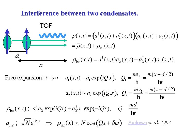 Interference between two condensates. TOF d x Free expansion: Andrews et. al. 1997 
