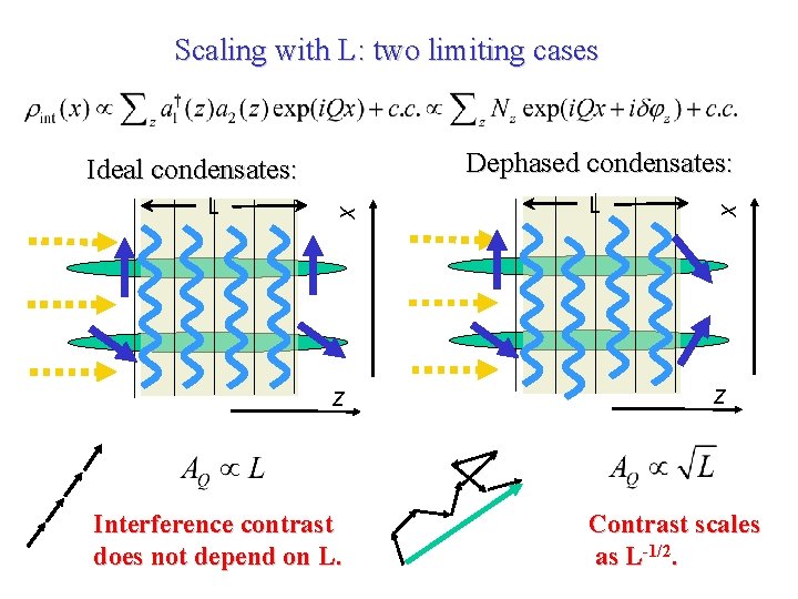 Scaling with L: two limiting cases x L z Interference contrast does not depend