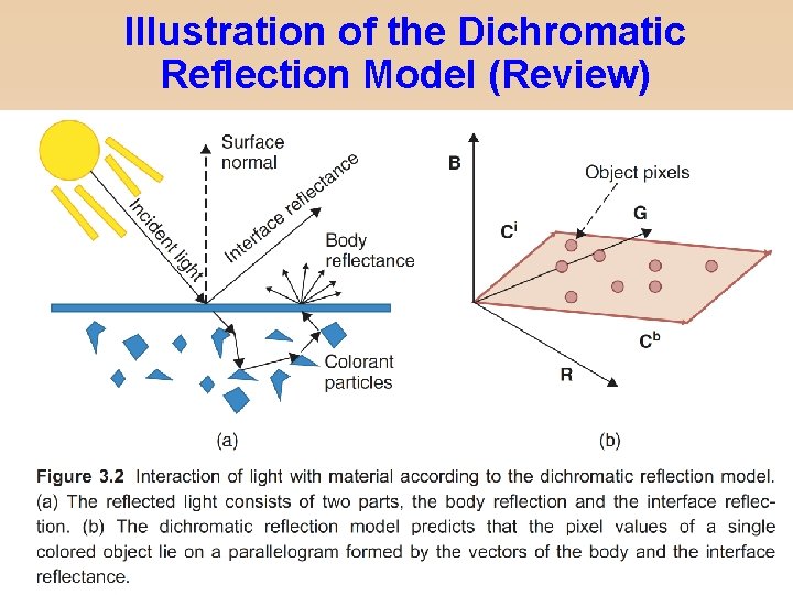 Illustration of the Dichromatic Reflection Model (Review) Color in Computer Vision – 2019 