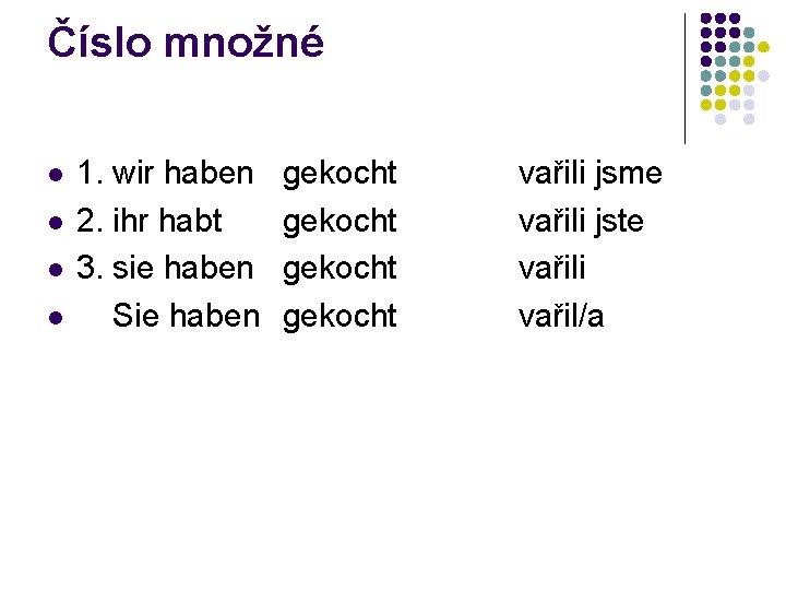 Číslo množné 1. wir haben 2. ihr habt 3. sie haben Sie haben gekocht