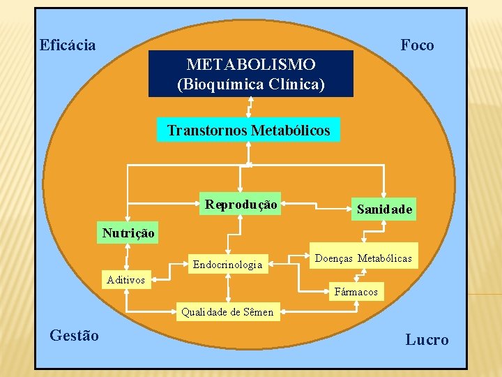 Eficácia Foco METABOLISMO (Bioquímica Clínica) Transtornos Metabólicos Reprodução Sanidade Nutrição Endocrinologia Aditivos Doenças Metabólicas