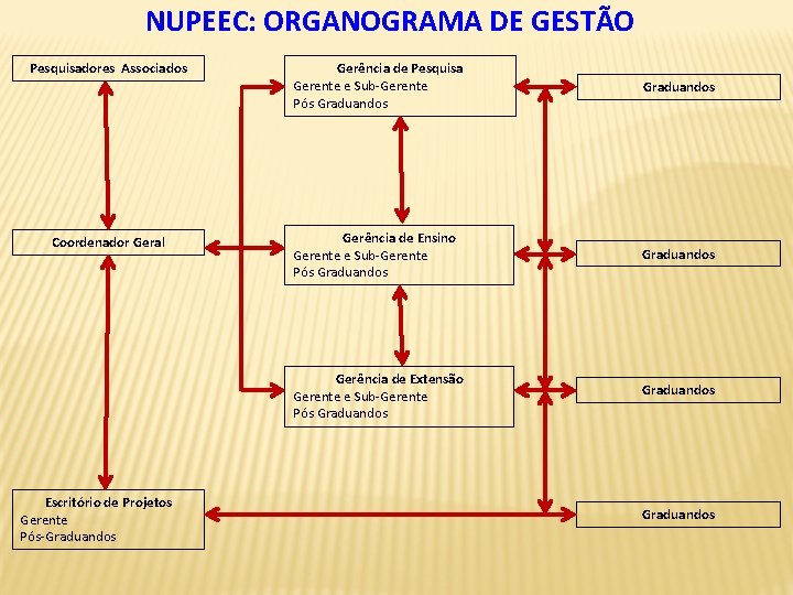 NUPEEC: ORGANOGRAMA DE GESTÃO Pesquisadores Associados Coordenador Geral Escritório de Projetos Gerente Pós-Graduandos Gerência