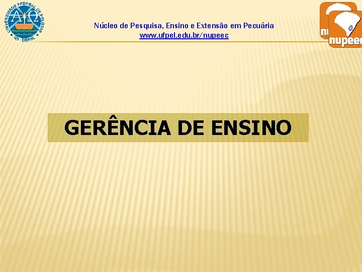 Núcleo de Pesquisa, Ensino e Extensão em Pecuária www. ufpel. edu. br/nupeec GERÊNCIA DE