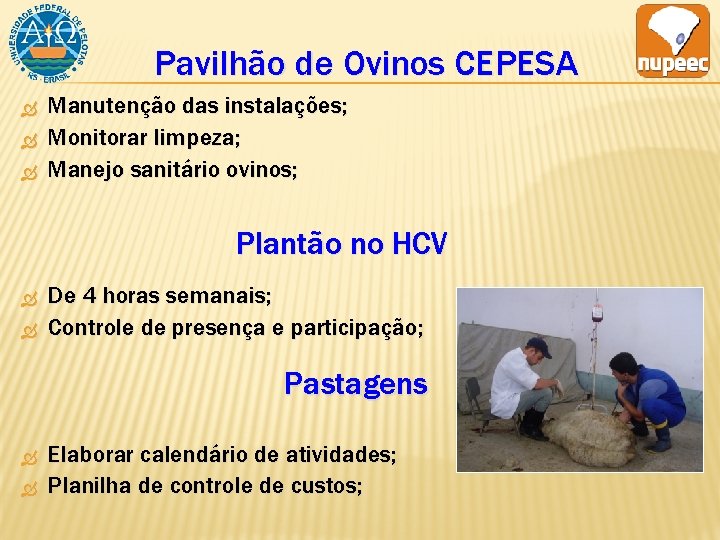 Pavilhão de Ovinos CEPESA Manutenção das instalações; Monitorar limpeza; Manejo sanitário ovinos; Plantão no