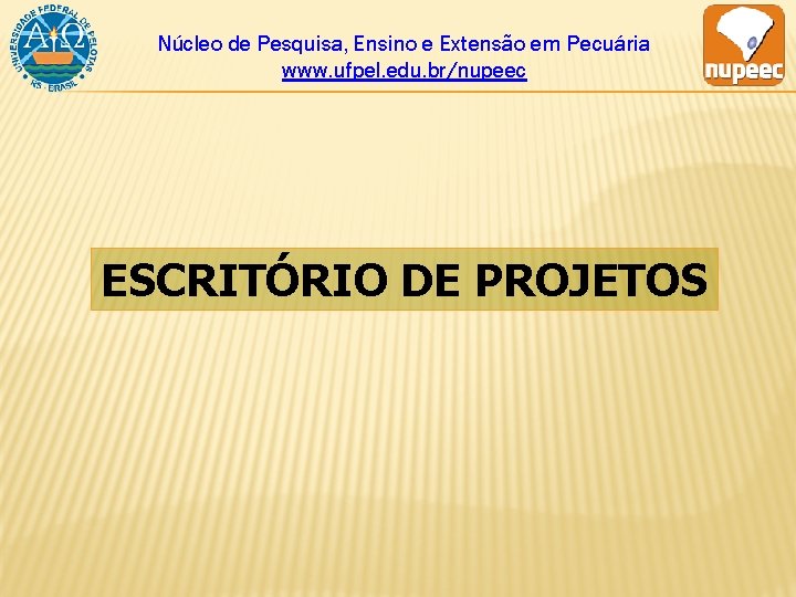 Núcleo de Pesquisa, Ensino e Extensão em Pecuária www. ufpel. edu. br/nupeec ESCRITÓRIO DE