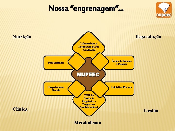 Nossa “engrenagem”. . . Nutrição Reprodução Laboratórios e Programas de Pós -Graduação Órgãos de