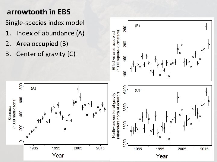 arrowtooth in EBS Single-species index model 1. Index of abundance (A) 2. Area occupied