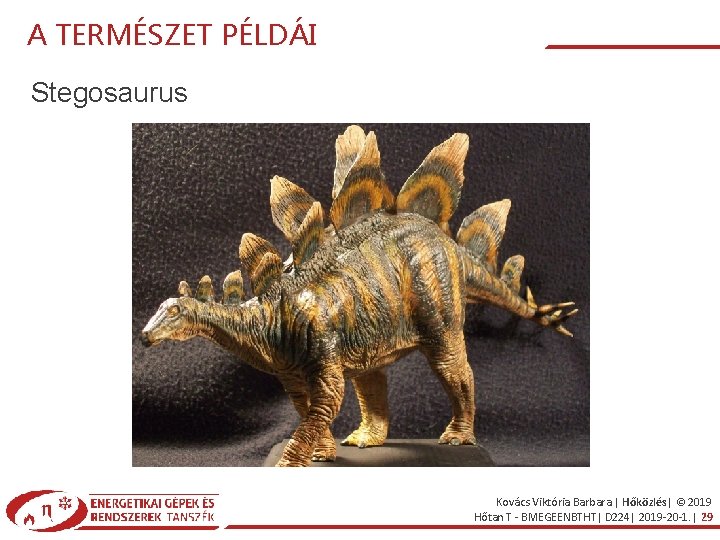 A TERMÉSZET PÉLDÁI Stegosaurus Kovács Viktória Barbara | Hőközlés| © 2019 Hőtan T -