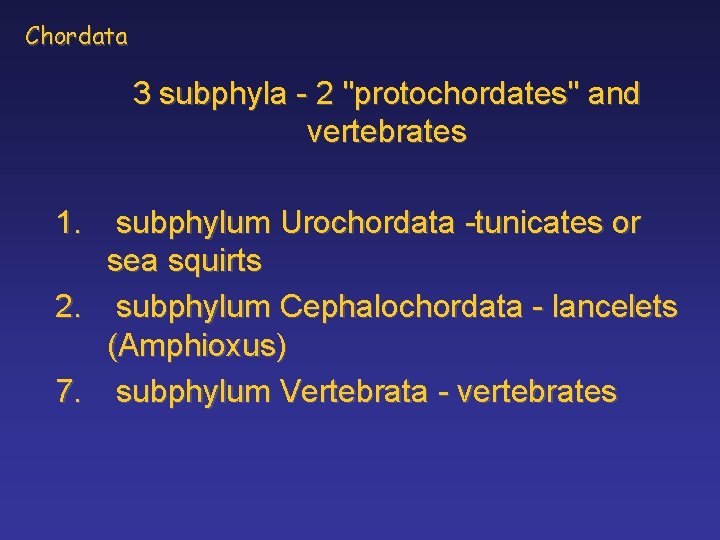 Chordata 3 subphyla - 2 "protochordates" and vertebrates 1. subphylum Urochordata -tunicates or sea