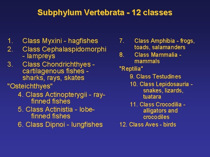 Subphylum Vertebrata - 12 classes 1. 2. Class Myxini - hagfishes Class Cephalaspidomorphi -