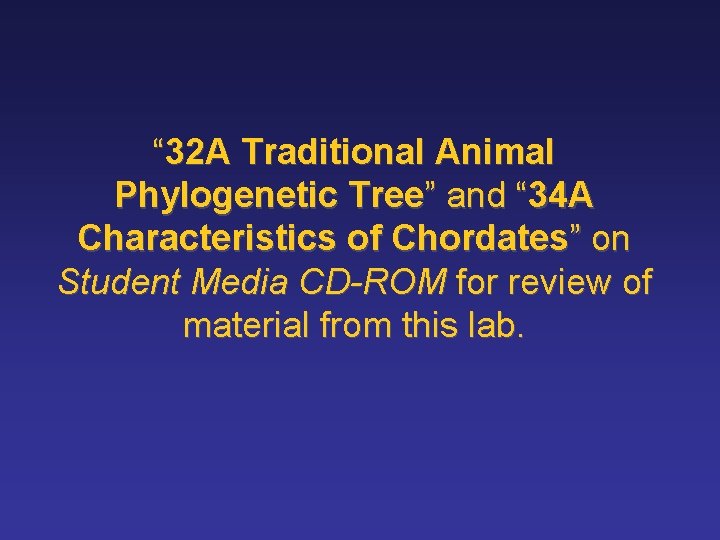 “ 32 A Traditional Animal Phylogenetic Tree” and “ 34 A Characteristics of Chordates”