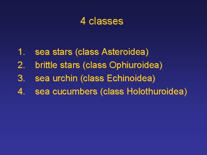 4 classes 1. 2. 3. 4. sea stars (class Asteroidea) brittle stars (class Ophiuroidea)