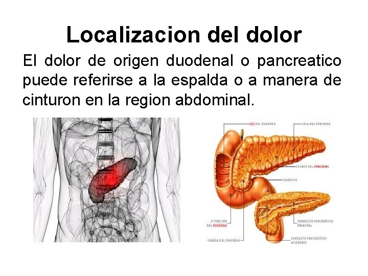 Localizacion del dolor El dolor de origen duodenal o pancreatico puede referirse a la