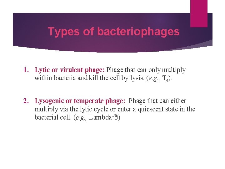 Types of bacteriophages 1. Lytic or virulent phage: Phage that can only multiply within