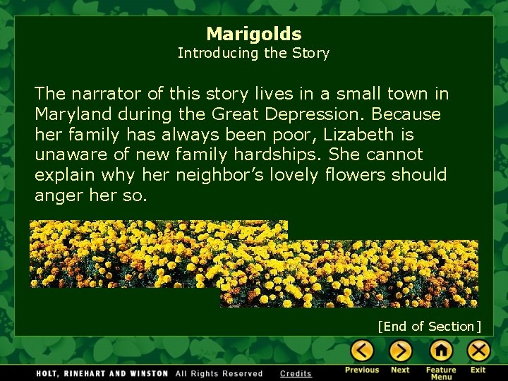 Marigolds Introducing the Story The narrator of this story lives in a small town
