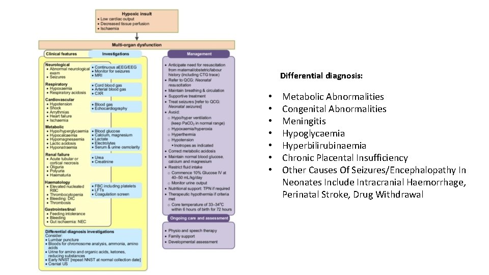 Differential diagnosis: • • Metabolic Abnormalities Congenital Abnormalities Meningitis Hypoglycaemia Hyperbilirubinaemia Chronic Placental Insufficiency