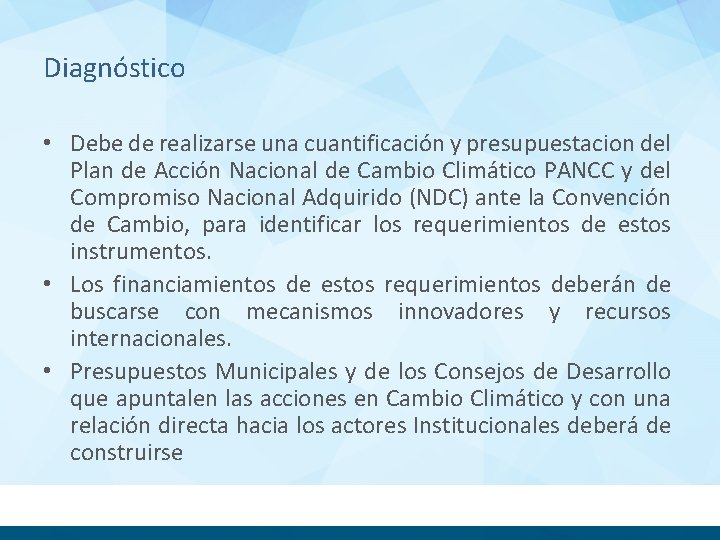 Diagnóstico • Debe de realizarse una cuantificación y presupuestacion del Plan de Acción Nacional