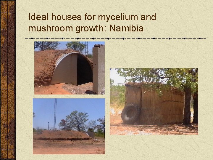 Ideal houses for mycelium and mushroom growth: Namibia 