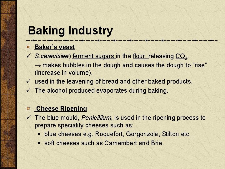 Baking Industry Baker’s yeast ü S. cerevisiae) ferment sugars in the flour, releasing CO