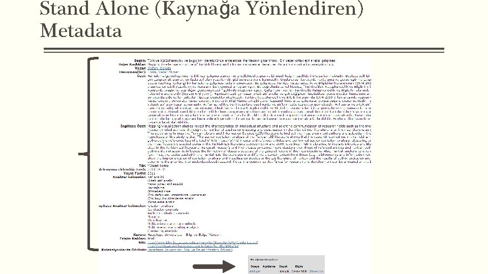 Stand Alone (Kaynağa Yönlendiren) Metadata 