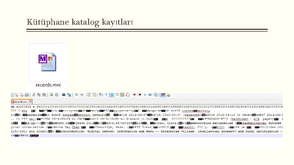 Kütüphane katalog kayıtları 