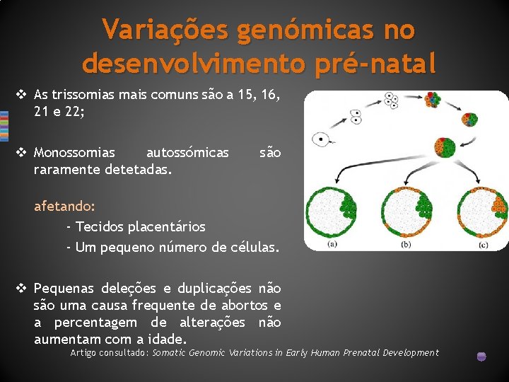 Variações genómicas no desenvolvimento pré-natal v As trissomias mais comuns são a 15, 16,