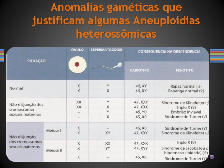 Anomalias gaméticas que justificam algumas Aneuploidias heterossômicas 