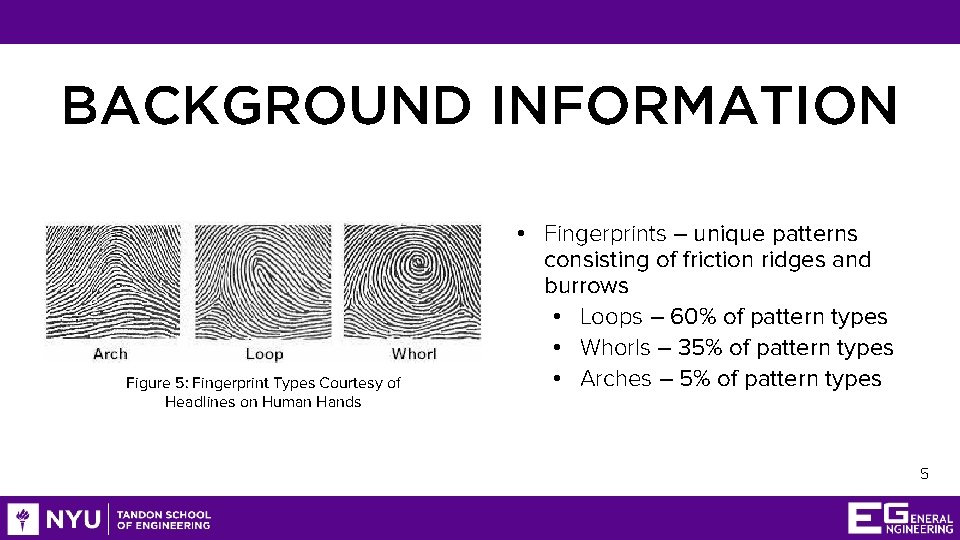 BACKGROUND INFORMATION Figure 5: Fingerprint Types Courtesy of Headlines on Human Hands • Fingerprints