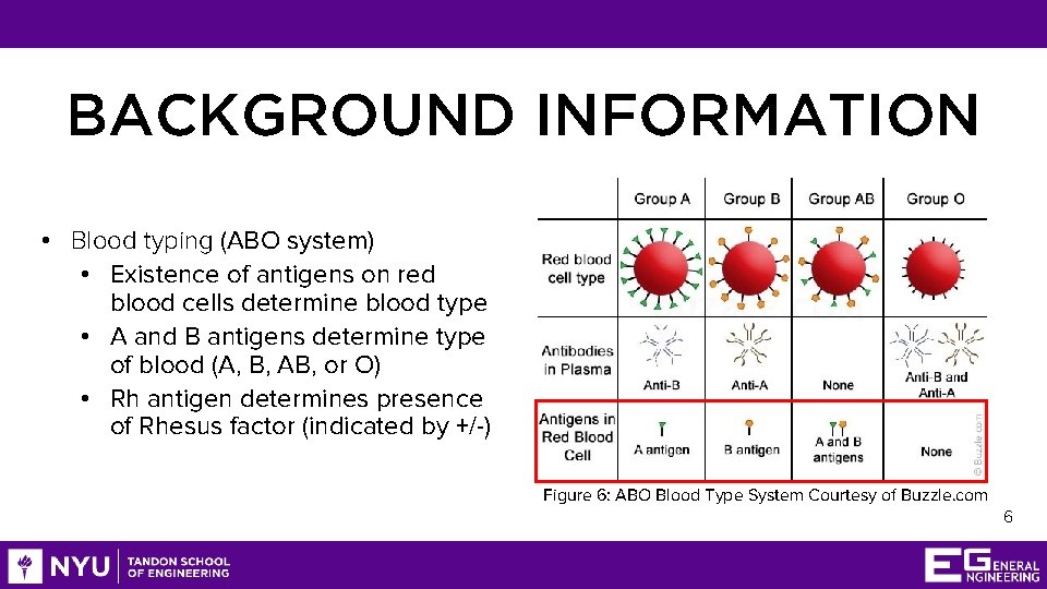 BACKGROUND INFORMATION • Blood typing (ABO system) • Existence of antigens on red blood