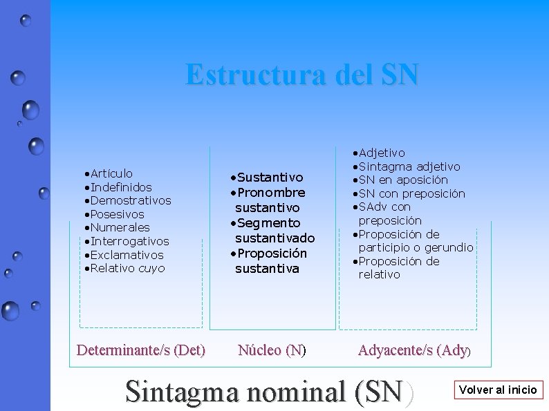 Estructura del SN • Artículo • Indefinidos • Demostrativos • Posesivos • Numerales •