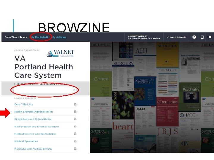 BROWZINE 